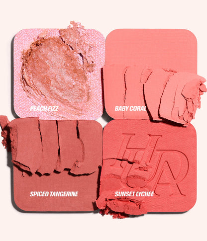 BLUSH FILTER BLURRING BLUSHLIGHTERS PALETTE - US 4585