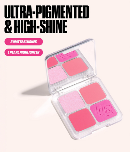 BLUSH FILTER BLURRING BLUSHLIGHTERS PALETTE - US 4302