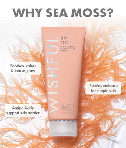GET CLEAN 2% PHA & SEA MOSS GENTLE FOAMING CLEANSER - US 3646